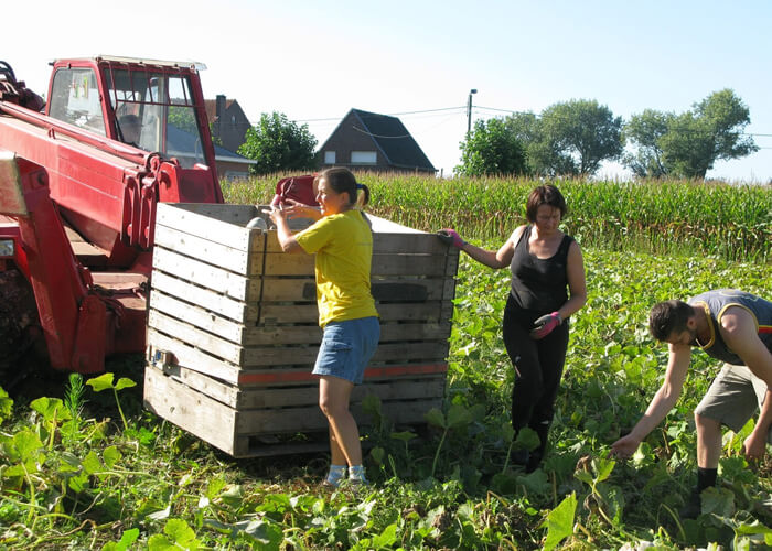 Bio Landbouw Opwijk