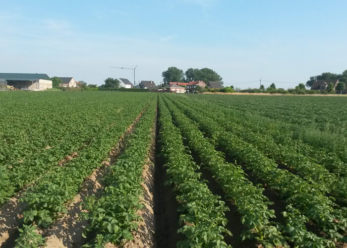 Bio Landbouw Opwijk